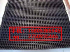 陕西（车库顶板）屋面绿化排水板。供应图1