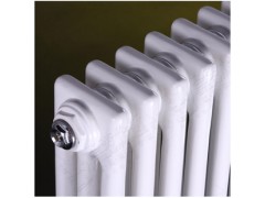 电厂蒸汽用钢管三柱形暖气片图1