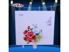 佰胜超薄鸟语花香节能水箱图1