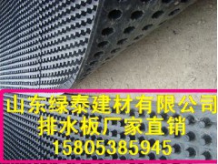 【广州3公分车库排水板∠2.8公分滤水板】图1