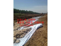 黄河岸坡防护生态格网 河渠防汛防洪护岸生态格网图1