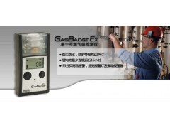 英思科GB90单一可燃气体检测仪图1