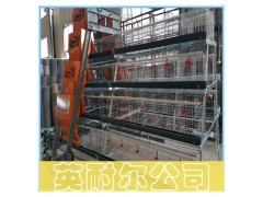 英耐尔四层五门电镀锌蛋鸡笼|热镀锌肉鸡笼图1