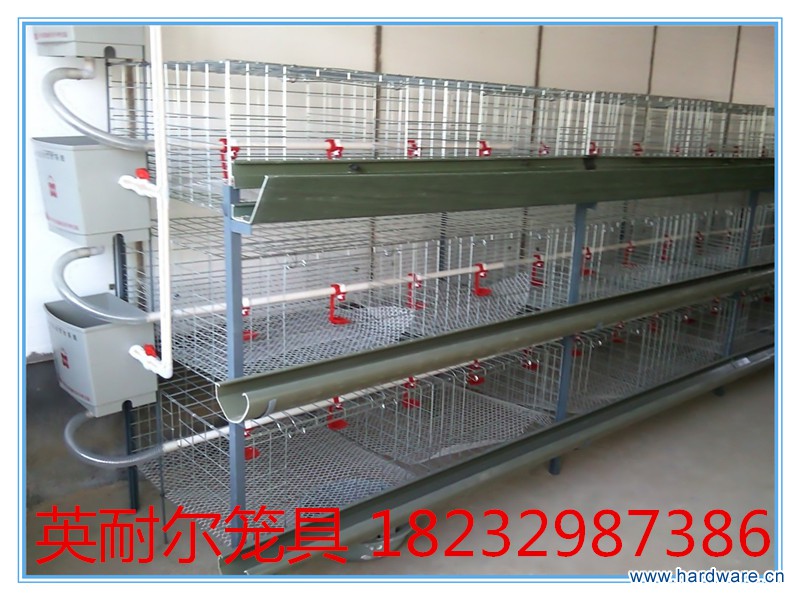 177_62374_d580574934fe774