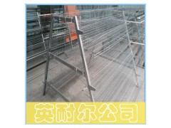 不生锈的蛋鸡笼|英耐尔蛋鸡笼|镀锌加粗图1
