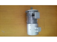 上海YVF8024-0.75KW-B5厂家变频电动机图1