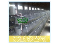 英耐尔三层两门优质肉鸡笼|不生锈 质量好图1
