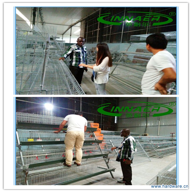 Cache_-2a0b6e5219d31e46.