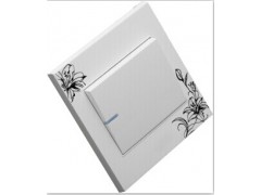 温州品牌墙壁开关 拉丝款墙壁开关图1