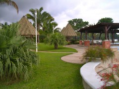 河南仿真茅草图1