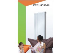 斯美尔散热器图1