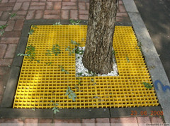 90b6ca32881c996423f498355879df18_小副本