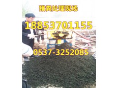 牛粪挤干机十大优势|种类图1