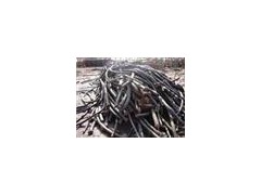 企石电线、电缆线回收图2