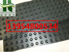 宝鸡1.2cm排水板咸阳车库塑料排水板规格图1