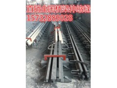 海南40mm伸缩缝桥梁伸缩缝采购欢迎咨询【长江预应力】图1
