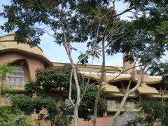 三亚假茅草，塑料仿真茅草瓦图1