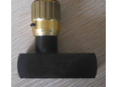 FT257 2-1意大利TOGNELLA单向阀图1