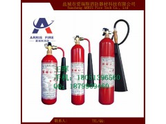 供应手提式二氧化碳灭火器图1