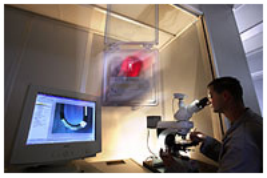 上海国际切削工具展915