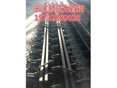 机动车道伸缩装置，城市桥梁伸缩缝厂家，160型伸缩缝报价图1