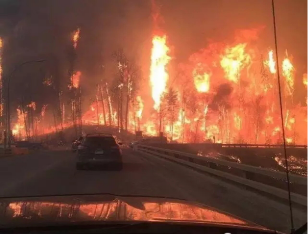 加拿大又见大火&mdash;&mdash;天津消防展侧记664