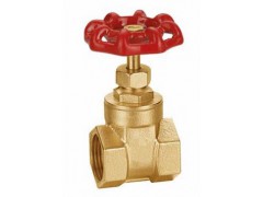 上海铜闸阀，黄铜内螺纹闸阀Z11W，工程排水铜闸阀图1