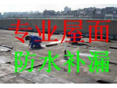 佛山房屋防水补漏.佛山建筑防水维修.佛山专业防水补漏图1