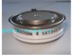 西门康系列相控硅SKT300/16E、SKT240/04E图1