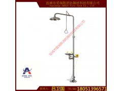 BTF21 紧急冲淋洗眼器 复合式冲淋洗眼器图1