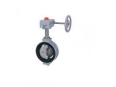 KITZ北泽G-16XJME蜗轮蝶阀  KITZ蝶阀  涡轮图1