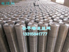 圈玉米电焊网/不锈钢电焊网/电焊网片厂家图1