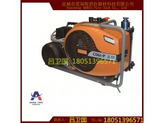 原装进口ECOWELL  CO6I-P2呼吸空气压缩机图1