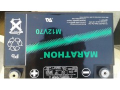 供应 美国GNB原装进口铅酸免维护蓄电池 UPS电池图1