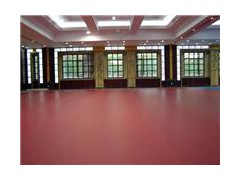 舞蹈房地胶 pvc塑胶地板 运动地板图1