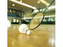 常州pvc运动地板，羽毛球地胶乒乓球地胶，图1