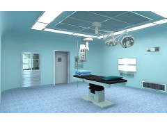 宿迁徐州淮安疗养院康复中心pvc塑胶防滑环保地板图1