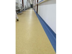 徐州宿迁淮安少年宫老年活动中心pvc塑胶防滑环保地板图1