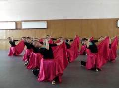 南京苏州无锡 舞台 舞蹈房 瑜伽房 演出厅 剧院PVC地板图1