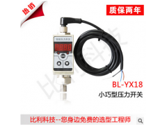 bl-yx18智能压力控制器，智能控制器，控制器厂家，报价图1