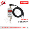 bl-yx18智能压力控制器，智能控制器，控制器厂家，报价