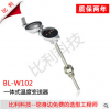 BL-W102 一体化温度变送器，厂家，介绍，选型，价格