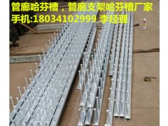 地下管廊支架预埋槽道,管廊专用哈芬槽38*23图1
