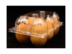 成都便宜的六枚装猕猴桃\柠檬吸塑水果盒供应图1