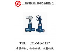 电站高压闸阀图1