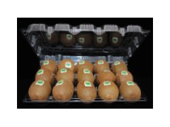 成都吸塑包装厂实惠的十五枚装猕猴桃\柠檬吸塑包装推荐图1