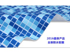 泳康温泉泳池胶膜图1