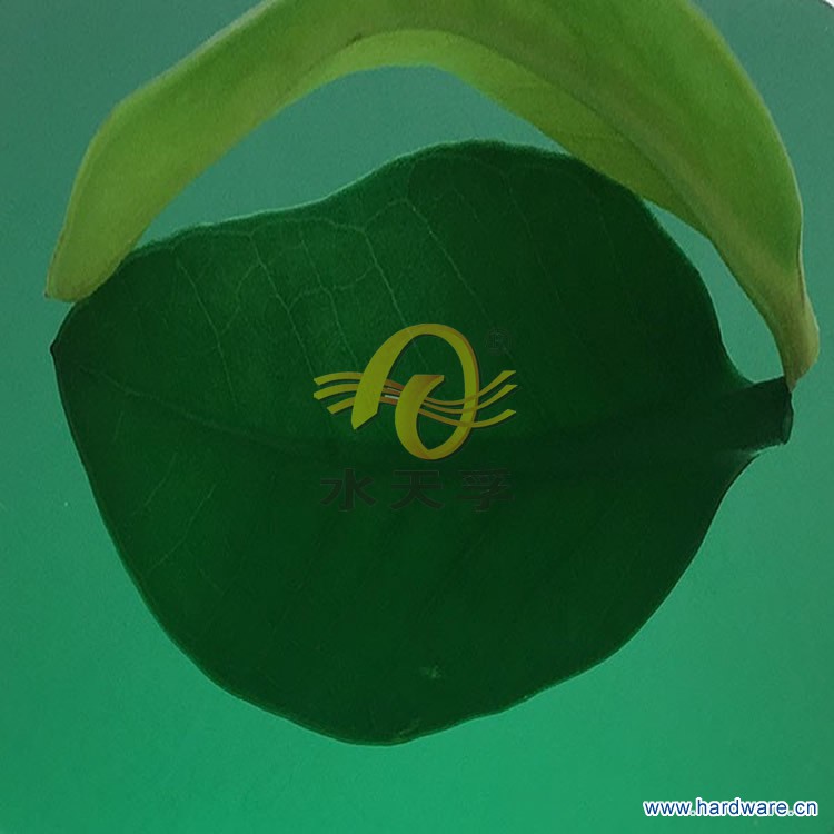 不锈钢翡翠绿镜面板STF-0001