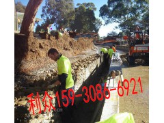 护堤护坡铅丝笼 镀锌铅丝石笼 覆塑PVC铅丝网箱挡墙图1