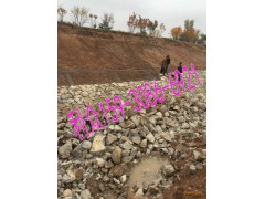 镀高锌雷诺护垫 护坡格宾垫  生态河道治理格宾网垫图1